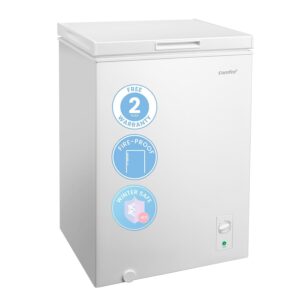 Freezer, with Freezing and Refrigeration Conversion - Image 1