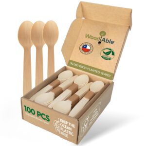 Cutlery Set - 100% Home Compostable - 100 Spoons 6.5″ - Bamboo Utensils Alternative - Eco - Friendly - Organic